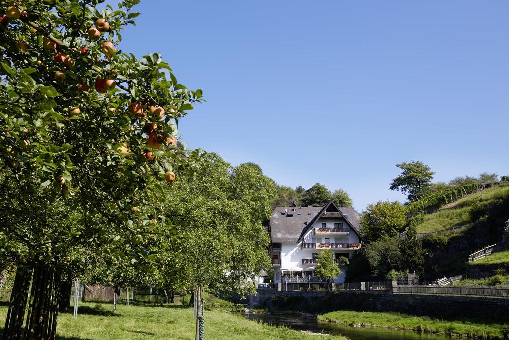 Hotel Pension Jagerstubchen Mayschoss Exterior photo